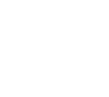 Wittmann Digital